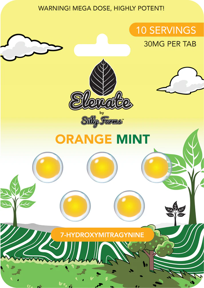 Elevate: Orange Mint