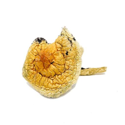 Z Strain Magic Mushrooms - Image 3